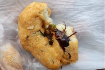 யாழ்.நகரில் விற்பனை செய்யப்பட்ட வடையில் கரப்பான்பூச்சி!