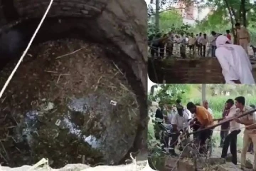 கிணற்றுக்குள் விழுந்த பூனை: காப்பாற்ற முயன்ற ஐவருக்கு நேர்ந்த கதி