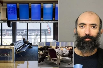 கொரோனாவுக்கு பயந்து அமெரிக்க விமான நிலையத்தில் மூன்று மாதங்கள் பதுங்கியிருந்தபோது கைது செய்யப்பட்ட இந்தியரை விடுவித்த நீதிபதி