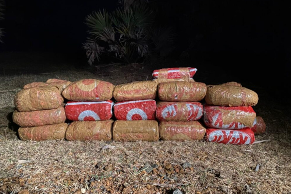 யாழில் பெரும் தொகை கேரள கஞ்சா மீட்பு | Large Amount Of Kerala Cannabis Seized In Jaffna
