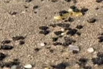 ආගන්තුක ද්‍රව්‍යයක් ත්‍රිකුණාමල වෙරළ තීරයට ගොඩ ගසයි.. (VIDEO)