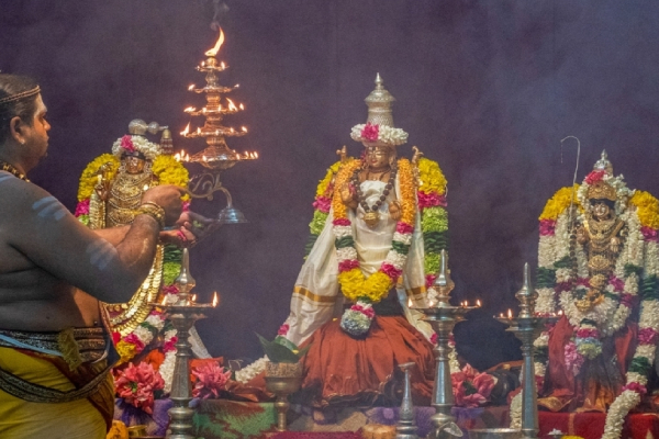 நல்லூர் சிவன் கோவிலில் திருவெம்பாவை புட்டு திருவிழா; பக்தியுடன் கலந்துகொண்ட பக்தர்கள்! | Thiruvempavai Puttu Thiruvizha Nallur Sivan Kovil