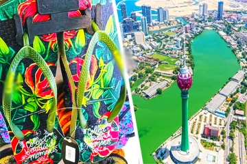 இலங்கையில் கார்த்திகை மலரை அவமதித்த பிரபல காலணி நிறுவனம் - செய்திகளின் தொகுப்பு