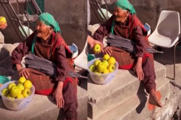 viral video: பழம் விற்கும் முதாட்டி - இந்த கஷ்டத்திலும் இப்படி ஒரு நேர்மையா? | Viral Video Of An Old Woman Selling Fruit