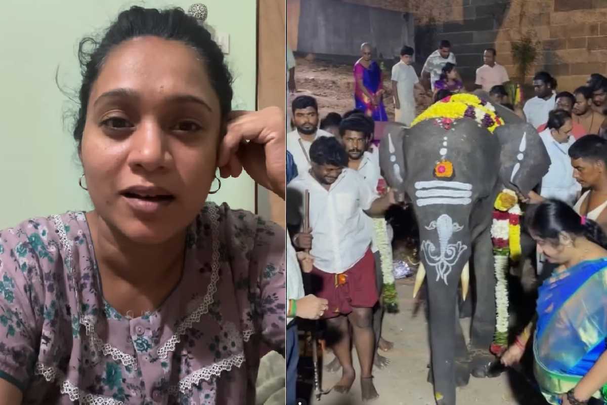 அரைகுறை டான்ஸுக்கு ஜொள்ளுவிடுவீங்க..10, 100 ரூபா பணத்துக்கு!! நடிகை சந்தியா பதிலடி.. | Sandhya Reply Thiruvannamalai Temple Elephant