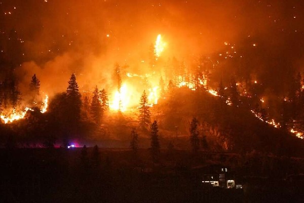 கெலவ்னாவில் 50க்கும் மேற்பட்ட கட்டிடங்கள் தீக்கிரை | 50 Buildings Burned By Wildfire In West Kelowna