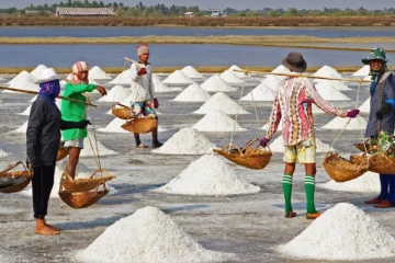இந்தியாவில் இருந்து உப்பு வர தாமதம்
