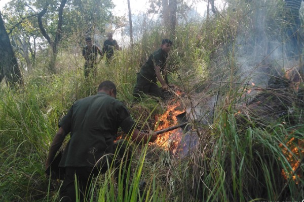பதுளையில் காட்டுத்தீ தீவிரம் - நாளுக்கு நாள் அதிகரிப்பு | Badulla Wild Fire Today