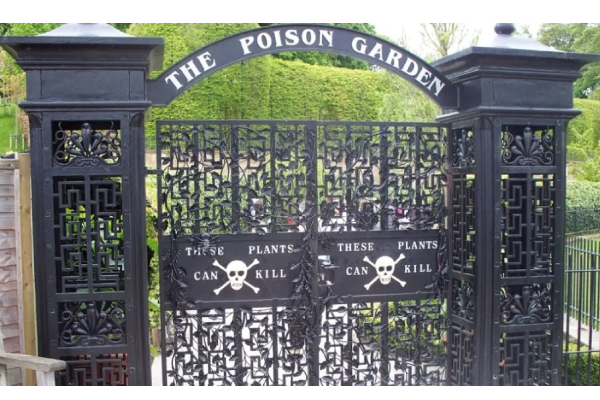 The Poison Garden
