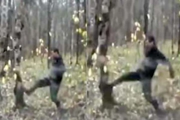 தன்னை தாக்கிய நபரை பழிக்கு பழி வாங்கிய மரம்... தீயாய் பரவும் காட்சி