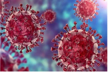 டெல்டாவை விட அதிவேகமாக பரவும் Omicron: உலக சுகாதாரத் துறை விடுத்துள்ள எச்சரிக்கை