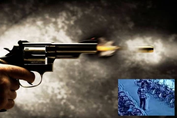 தலைமை ஆசிரியரை துப்பாக்கியால் சுட்டுக்கொன்ற பாடசாலை மாணவன்! இந்திய மாநிலத்தில் நடுங்கவைத்த சம்பவம்