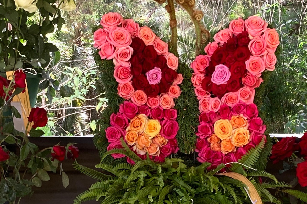 நுவரெலியாவில் கண்ணை கவரும் மலர் கண்காட்சி; குவிந்த சுற்றுலா பயணிகள் | Eye Catching Flower Exhibition In Nuwara Eliya