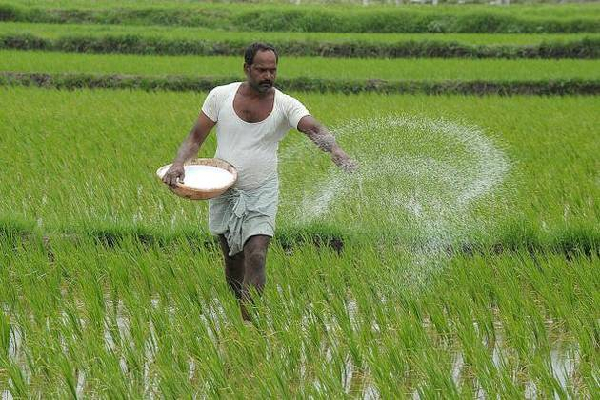 விவசாய அமைச்சரின் அறிவிப்பு! - விவசாயிகளுக்கு நற்செய்தி - ஐபிசி தமிழ்