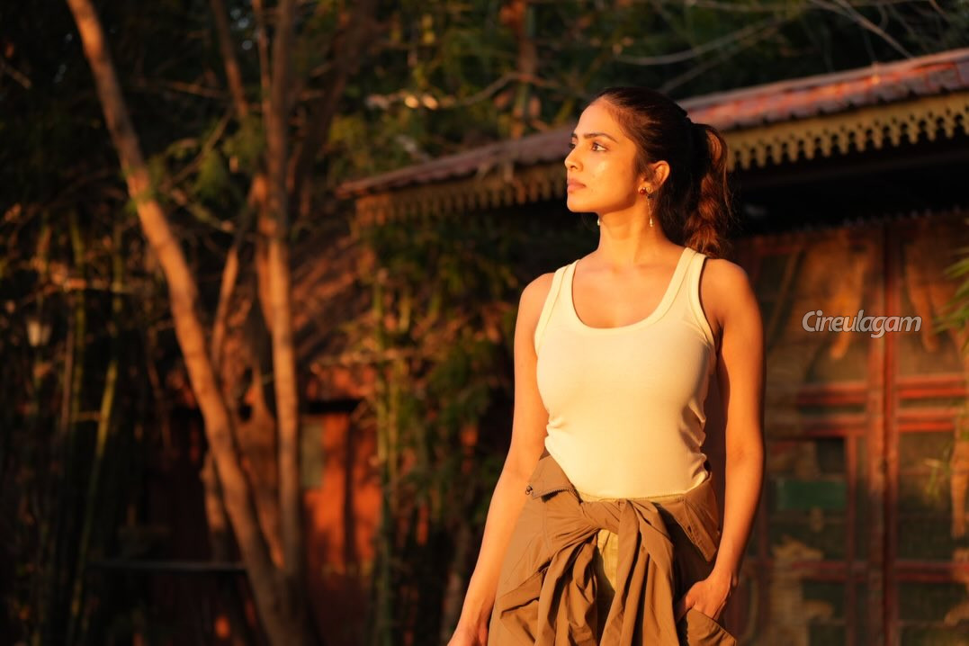 நடுக்காட்டில் போட்டோஷூட்.. மாளவிகா மோகனனின் இந்த புகைப்படங்களை எடுத்து யார் தெரியுமா 2 Gallery