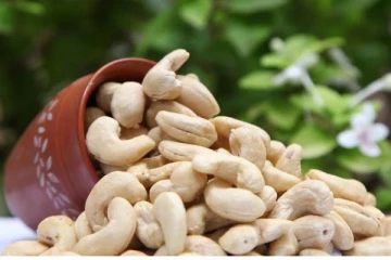 முந்திரி சாப்பிட்டால் பக்கவிளைவு ஏற்படுமா? பலரும் அறியாத பகீர் உண்மை