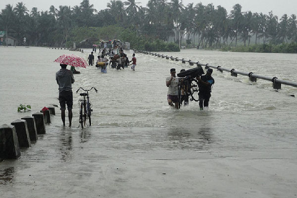 வடக்கு - கிழக்கு தொடருந்து சேவைகள் ஜனவரி முதல் மீண்டும் ஆரம்பம் | Northern Eastern Railway To Resume From January