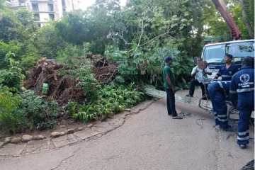 தெஹிவளை மிருககாட்சிச்சாலையில் இடம்பெற்ற துயரம்