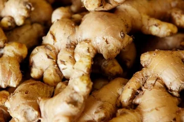 ஒரு துண்டு இஞ்சியை வெறும் வயிற்றில் சாப்பிட்டால் என்ன நடக்கும்? இனி தெரிஞ்சிக்கோங்க....!