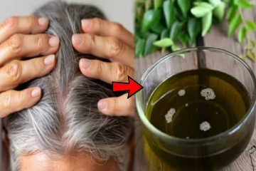 என்ன செய்தாலும் நரைமுடி போகலையா? இந்த எண்ணெயை Try பண்ணி பாருங்க