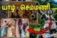 செம்மணியில் கொன்று புதைக்கப்பட்ட தமிழினம்: மலையகத்தில் இருந்து ஒலித்த குரல்