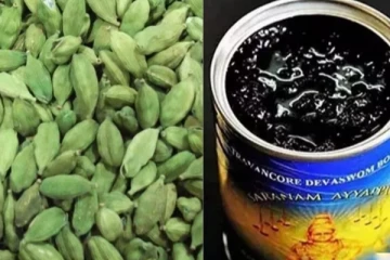 சபரிமலை அரவணை பாயாசத்தில் பூச்சி மருந்து; விநியோகம் நிறுத்தம் - பகீர்!