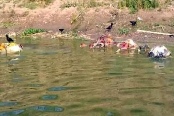 கங்கை ஆற்றை அடுத்து யமுனை ஆற்றிலும் குவிந்த சடலங்கள்; பீதியடைந்த மக்கள்