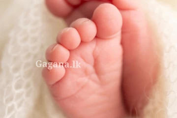 කුණු මල්ලක දමා ගිය මල් කැකුළක් රැකගත් අපූරු සුනඛයෙක්.