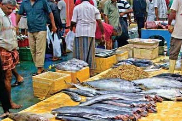 வெசாக் தினத்தை முன்னிட்டு மட்டக்களப்பு மீனவர்களுக்கு அதிர்ச்சியளிக்கும் அறிவிப்பு | Batticaloa Closes Fish Shops Ahead Of Vesak Day