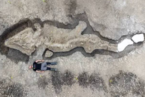 பிரித்தானியாவில் கண்டுபிடிக்கப்பட்ட மிகப்பெரிய ராட்சத கடல் டிராகன்! | Uk Sea Dragon Lchthyosaur Rutland Water Skeleton பிரித்தானியாவில் கண்டுபிடிக்கப்பட்ட மிகப்பெரிய ராட்சத கடல் டிராகன்! | Uk Sea Dragon Lchthyosaur Rutland Water Skeleton