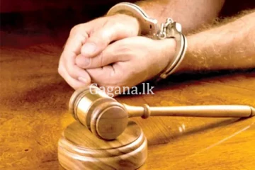 වසර 12කට පසු අත්අඩංගුවට ගත් සැකකරු.