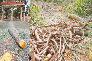 வாழைச்சேனை வட்டார வன அதிகாரிகள் திடீர் சுற்றிவளைப்பு