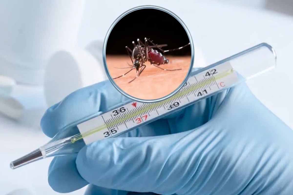 தமிழகத்தில் வேகமாக பரவும் டெங்கு காய்ச்சல் | Dengue In Tamil Nadu Spread தமிழகத்தில் வேகமாக பரவும் டெங்கு காய்ச்சல் | Dengue In Tamil Nadu Spread