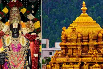 திருப்பதி: இனி 1 மணி நேரத்தில் சுவாமி தரிசனம் செய்ய அறிமுகப்படுத்தப்படும் புதிய வசதிகள்
