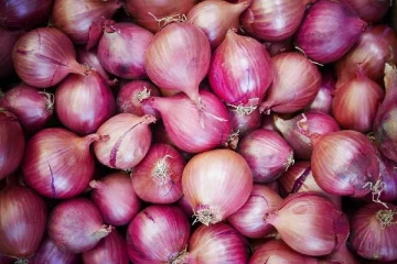 விண்ணை தொடும் அளவுக்கு வெங்காயத்தின் விலை: அடுத்த ஆண்டு தான் குறையுமா?