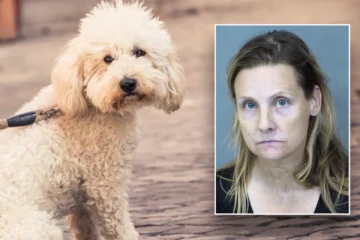 அமெரிக்காவில் வீட்டின் பிரிட்ஜில் பொலிஸாருக்கு காத்திருந்த அதிர்ச்சி: உரிமையாளர் அதிரடி கைது