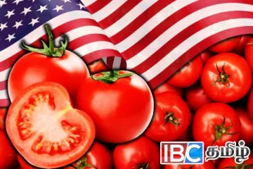 மெக்சிகோ தக்காளி இறக்குமதிக்கு 17 வீத வரி: அமெரிக்காவின் புதிய தீர்மானம்