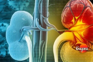 වකුගඩු කට්ටෙන් ගහපු ගැහිල්ල මාට්ටු