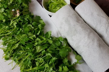 2 வாரம் ஆனாலும் கொத்தமல்லி அழுகாமல் புதிதாக இருக்கணுமா? இதோ சூப்பர் ஐடியா