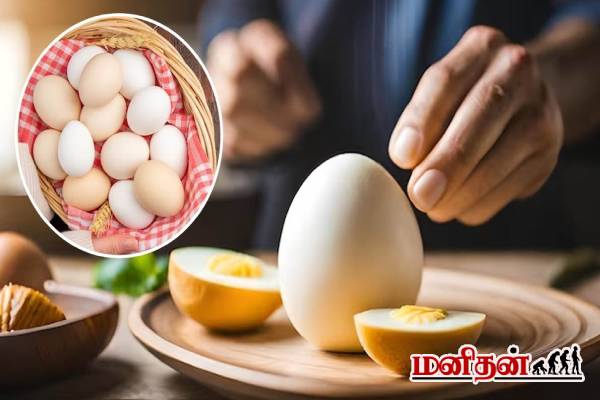 இந்த ஆரோக்கிய பிரச்சினைகள் இருக்கா? அப்போ அளவுக்கு அதிகமா முட்டை சாப்பிடாதீங்க! | How Many Eggs Should You Eat Per Day இந்த ஆரோக்கிய பிரச்சினைகள் இருக்கா? அப்போ அளவுக்கு அதிகமா முட்டை சாப்பிடாதீங்க! | How Many Eggs Should You Eat Per Day