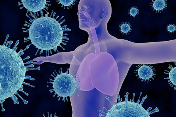 இலங்கையில் தற்போது பரவி வரும் புதுவித வைரஸ் | A New Type Of Virus Currently Spreading