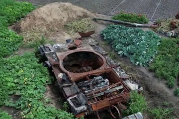 ரஷ்ய ராணுவ டேங்கியை சுற்றி காய்கறிகளை பயிரிட்ட விவசாயி!