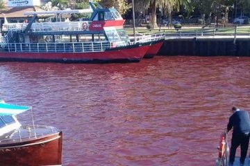 அதிர்ச்சி சம்பவம்! திடீரென்று இளஞ்சிவப்பு நிறத்தில் காட்சியளித்த ஏரிகள் - செய்திகளின் தொகுப்பு