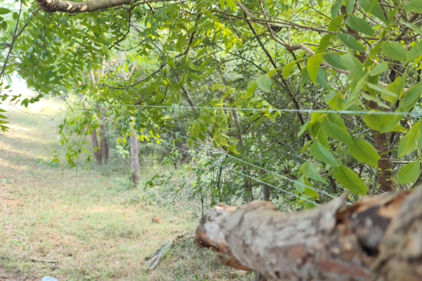 கொக்குத்தொடுவாயில் தமிழர்களின் பூர்வீக காணிகள் தொடர்பில் ரவிகரன் எம்.பி விடுத்த எச்சரிக்கை | Sinhalese Attempt To Seize Tamils Ancestral Lands கொக்குத்தொடுவாயில் தமிழர்களின் பூர்வீக காணிகள் தொடர்பில் ரவிகரன் எம்.பி விடுத்த எச்சரிக்கை | Sinhalese Attempt To Seize Tamils Ancestral Lands