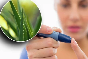 நீரிழிவு நோயை கட்டுக்குள் வைக்க உதவுமா கற்றாழை?