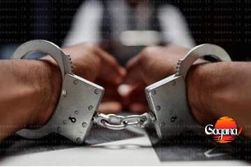 මිහින්තලා පුදබිමේ පලතුරු ආසන කඩලා - මාලිමා අපේක්ෂකයෙක් අත්අඩංගුවට