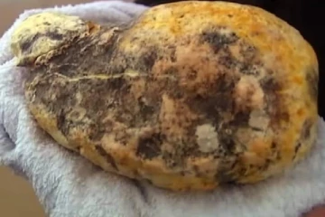 07 கோடி ரூபா பெறுமதியான அம்பருடன் ஆறு பேர் கைது!