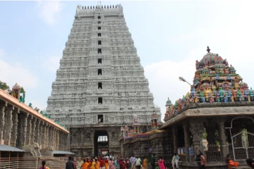 அண்ணாமலையார் கோவிலில் தம்பதி செய்த வேலை - பக்தர்கள் அதிர்ச்சி