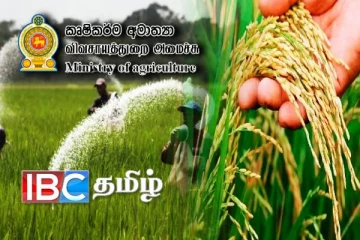 விவசாய அமைச்சு விடுத்துள்ள முக்கிய அறிவிப்பு