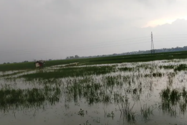 அம்பாறை மாவட்டத்தில் கடல் கொந்தளிப்பு; தொடர் அடைமழை | Sea Turbulence In Ampara District Heavy Rain அம்பாறை மாவட்டத்தில் கடல் கொந்தளிப்பு; தொடர் அடைமழை | Sea Turbulence In Ampara District Heavy Rain